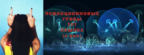 твердый Осташков