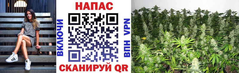 Бошки марихуана LSD WEED  купить  цена  Мосальск 